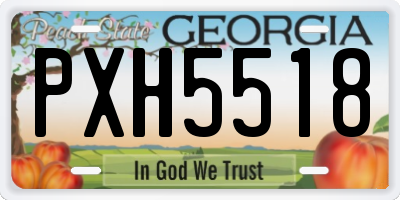 GA license plate PXH5518