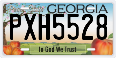 GA license plate PXH5528
