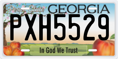 GA license plate PXH5529