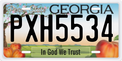 GA license plate PXH5534