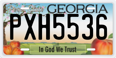 GA license plate PXH5536