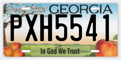 GA license plate PXH5541