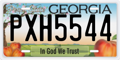 GA license plate PXH5544