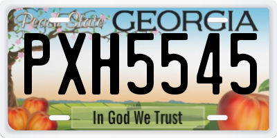 GA license plate PXH5545