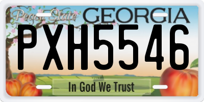 GA license plate PXH5546