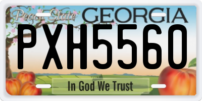 GA license plate PXH5560