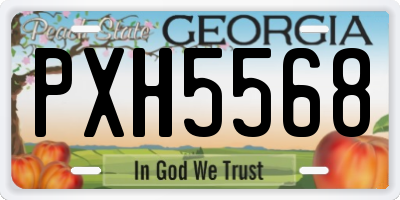 GA license plate PXH5568