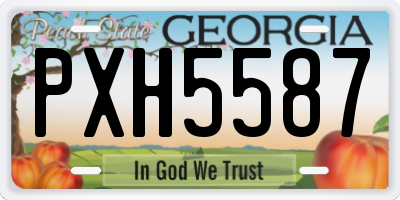 GA license plate PXH5587