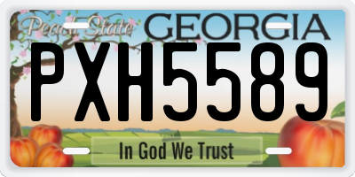GA license plate PXH5589