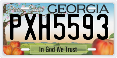 GA license plate PXH5593