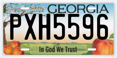 GA license plate PXH5596