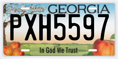 GA license plate PXH5597