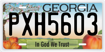 GA license plate PXH5603