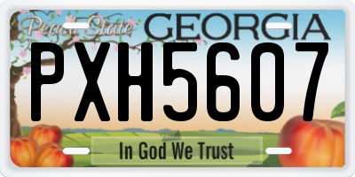 GA license plate PXH5607