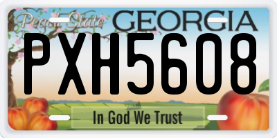 GA license plate PXH5608