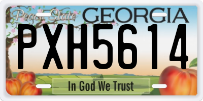 GA license plate PXH5614