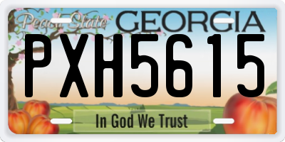 GA license plate PXH5615