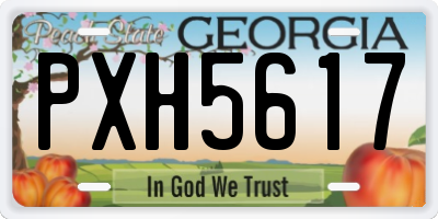 GA license plate PXH5617