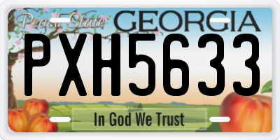 GA license plate PXH5633