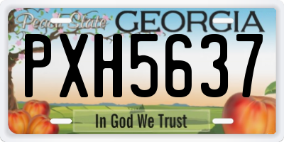 GA license plate PXH5637