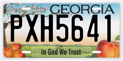 GA license plate PXH5641