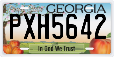 GA license plate PXH5642