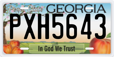 GA license plate PXH5643