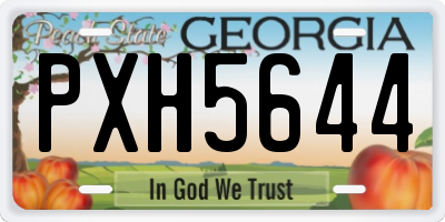 GA license plate PXH5644
