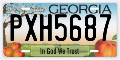 GA license plate PXH5687