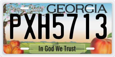 GA license plate PXH5713