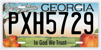 GA license plate PXH5729