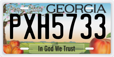 GA license plate PXH5733