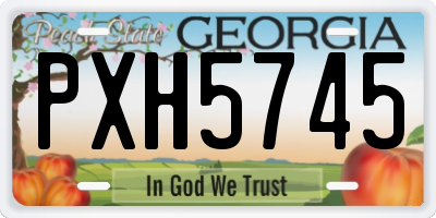 GA license plate PXH5745