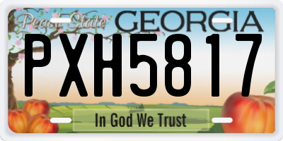 GA license plate PXH5817