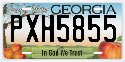GA license plate PXH5855