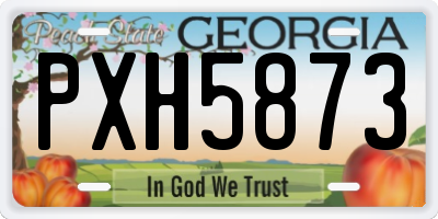 GA license plate PXH5873