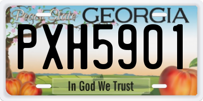 GA license plate PXH5901