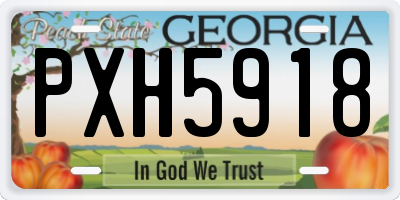 GA license plate PXH5918