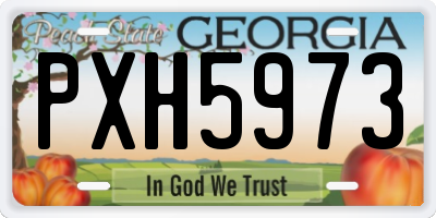 GA license plate PXH5973