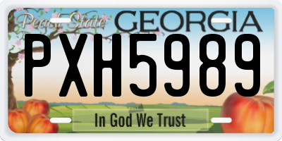 GA license plate PXH5989