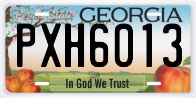 GA license plate PXH6013