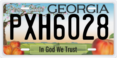 GA license plate PXH6028