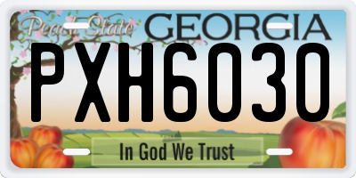 GA license plate PXH6030