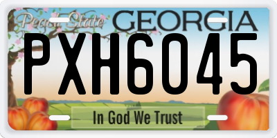 GA license plate PXH6045