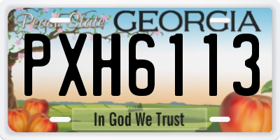 GA license plate PXH6113
