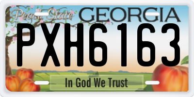 GA license plate PXH6163