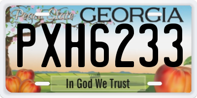 GA license plate PXH6233