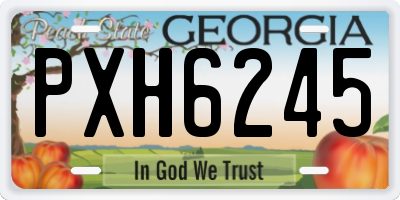 GA license plate PXH6245