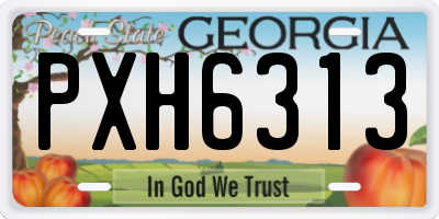 GA license plate PXH6313
