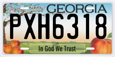 GA license plate PXH6318